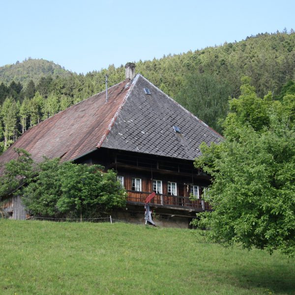 Schwarzwald, Wandern, Wanderung, Kandelhöhenweg