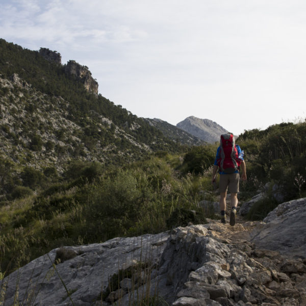 Mallorca, Tramuntana, GR221, Wandern, Wanderung, Trekking