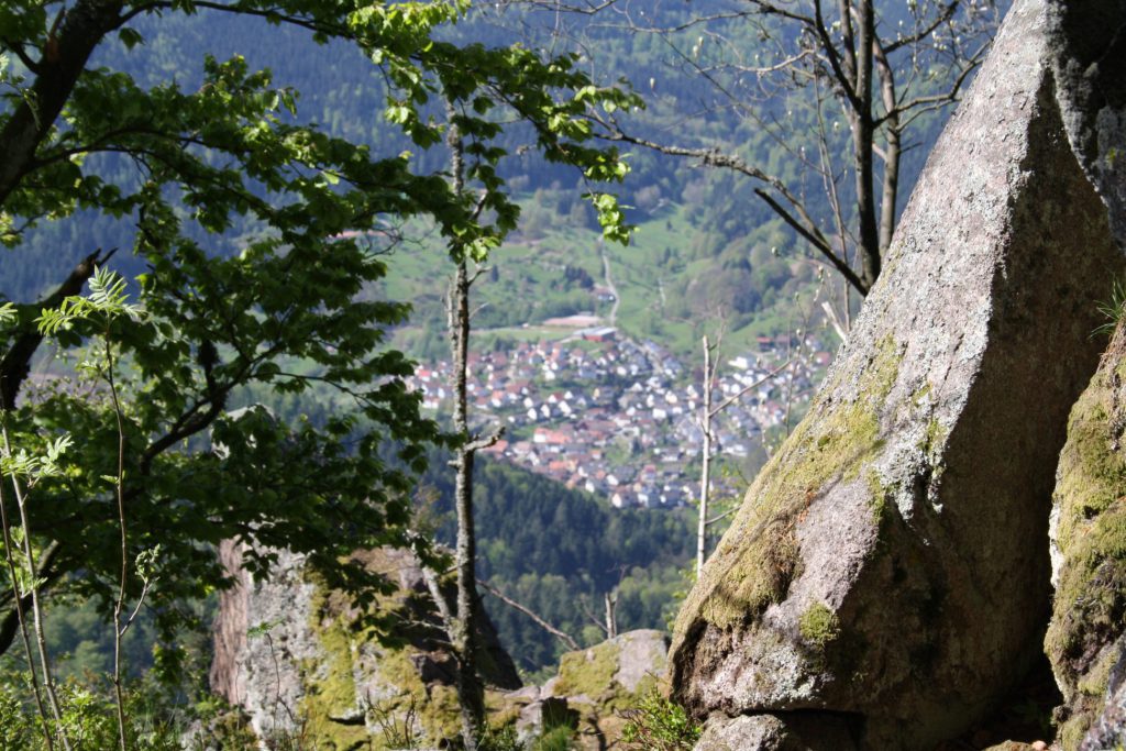 Schwarzwald, Nordschwarzwald, Murgtal, Murgleiter, Wandern, Wanderung