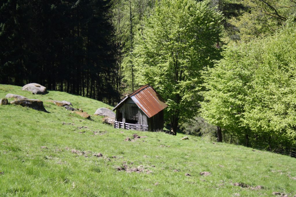 Schwarzwald, Nordschwarzwald, Murgleiter, Murgtal, Wandern, Wanderung
