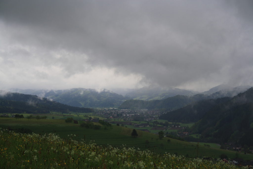 Wandern, Schwarzwald, Zell am Harmersbach, Harmersbacher Vesperweg