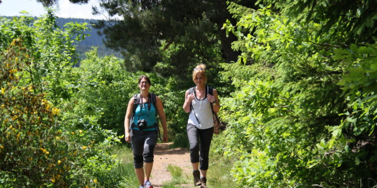 Schwarzwald, Nordschwarzwald, Wandern, Wanderung, Genießerpfad, Satteleisteig, Baiersbronn