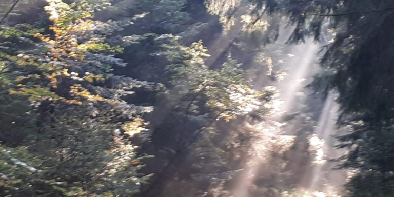 Wandern und Bergwandern im Herbst