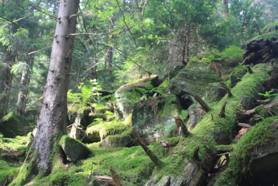 Wandern, Albtal Abenteuer Track, Bad Herrenalb, Teufelsmühle, Schwarzwald
