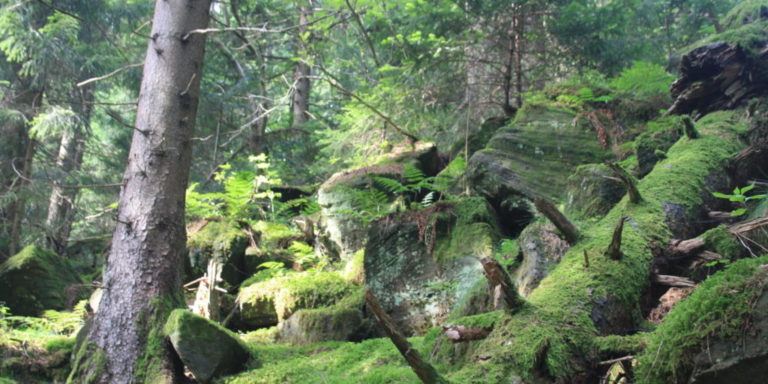 Wandern, Albtal Abenteuer Track, Bad Herrenalb, Teufelsmühle, Schwarzwald