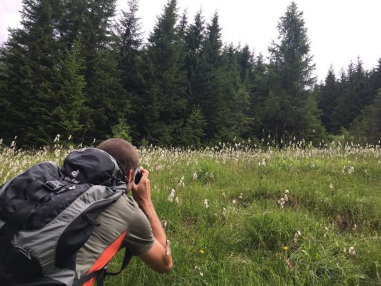 Österreich, Salzburger Land, Grossarltal, Almenweg, Wandern, Wanderung