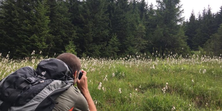 Österreich, Salzburger Land, Grossarltal, Almenweg, Wandern, Wanderung