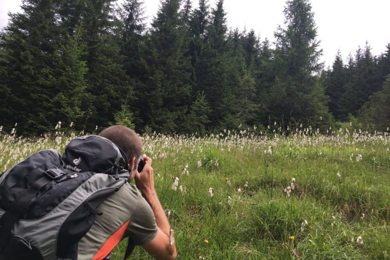 Österreich, Salzburger Land, Grossarltal, Almenweg, Wandern, Wanderung