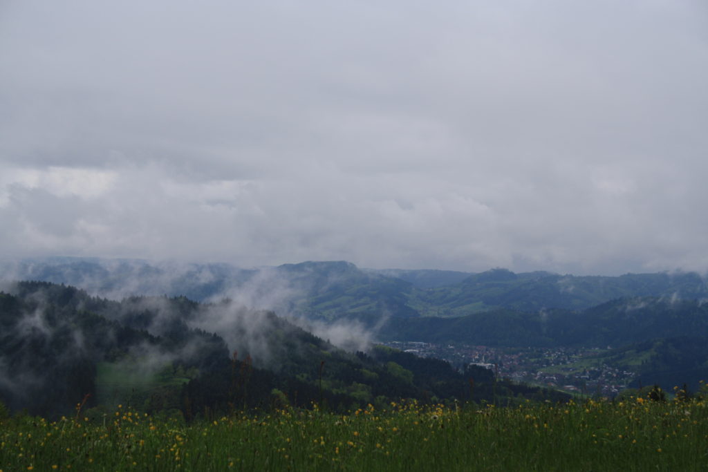 Schwarzwald, Genießerpfad, Wandern, Harmersbacher Vesperweg