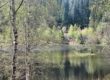 Sankenbachsee, Karsee, See, Nordschwarzwald, Schwarzwald, Karsee, Wandern