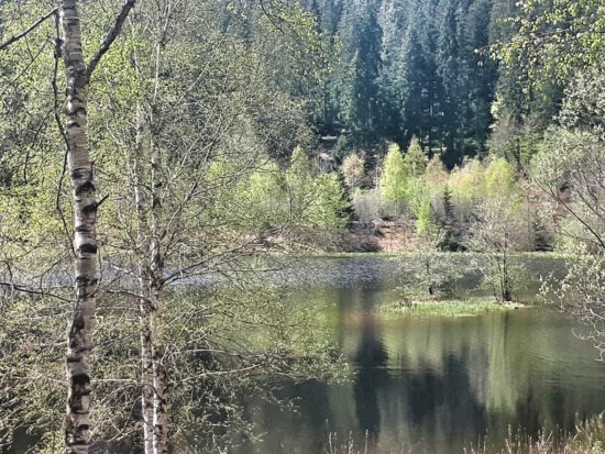 Sankenbachsee, Karsee, See, Nordschwarzwald, Schwarzwald, Karsee, Wandern