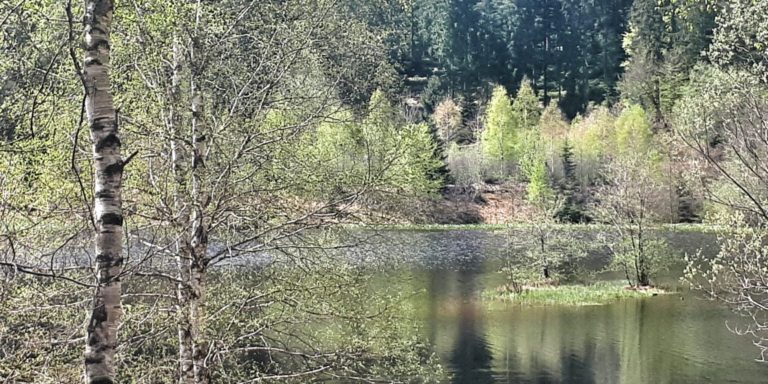 Sankenbachsee, Karsee, See, Nordschwarzwald, Schwarzwald, Karsee, Wandern