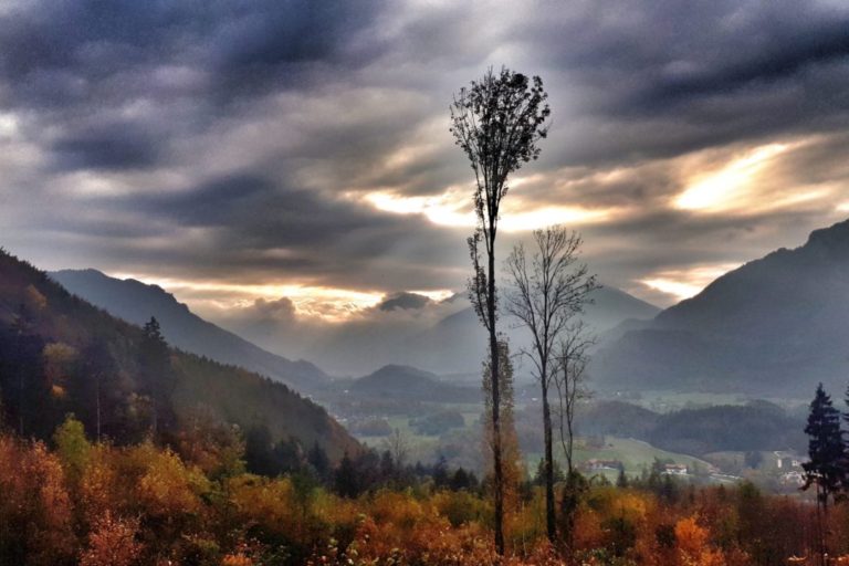Gründe fürs Draußensein in der Natur