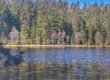 Karsee Herrenwieser See im Nordschwarzwald