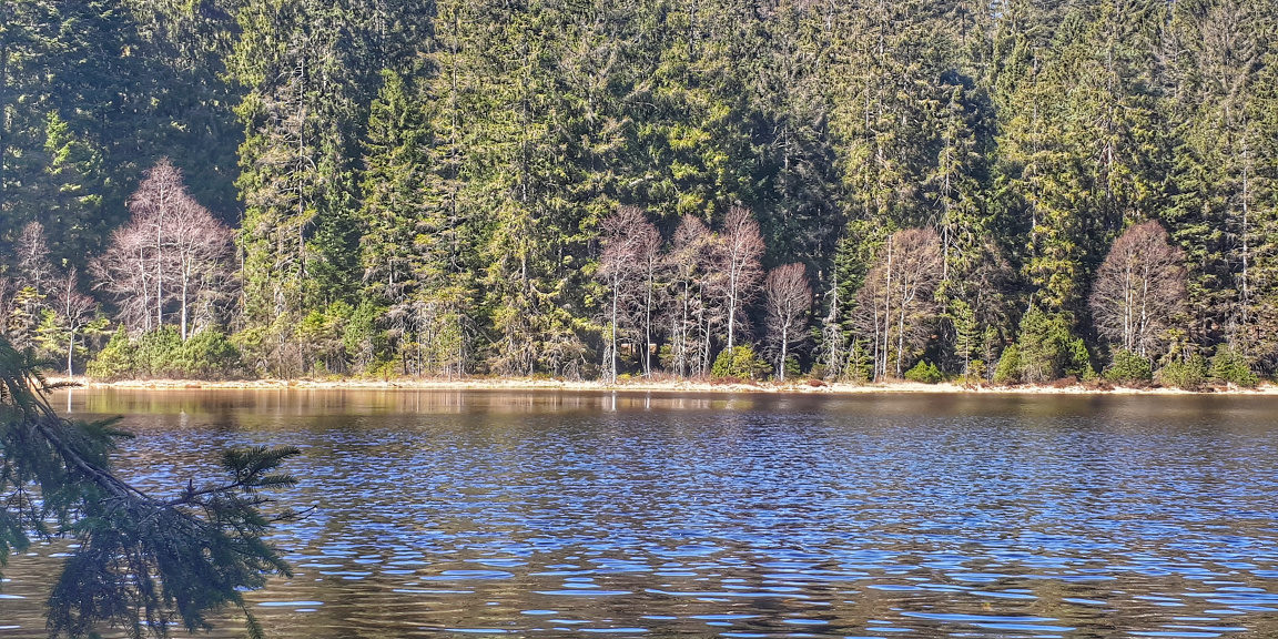 Karsee Herrenwieser See im Nordschwarzwald Karsee Herrenwieser See im Nordschwarzwald