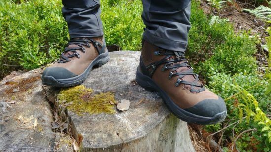 Test KEEN Wanderstiefel Wild Sky Waterproof Test KEEN Wanderstiefel Wild Sky Waterproof
